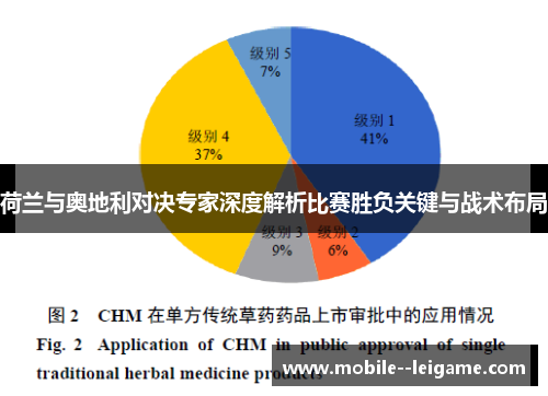 荷兰与奥地利对决专家深度解析比赛胜负关键与战术布局