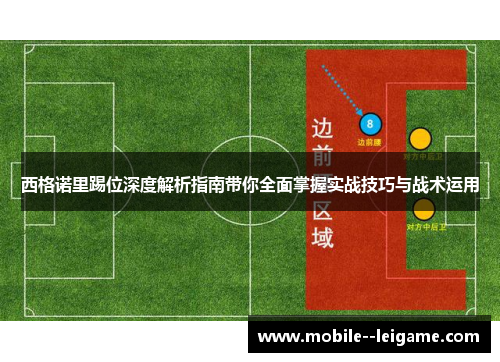 西格诺里踢位深度解析指南带你全面掌握实战技巧与战术运用